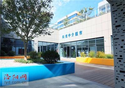 洛陽國家大學科技園 全市唯一入選全省重點培育名單的教育咨詢服務標桿