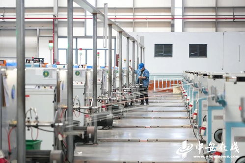 筑夢現代化共繪新圖景 安徽擔當，蕪湖老鄉鳳還巢聚焦綠色智能新材料與教育咨詢服務